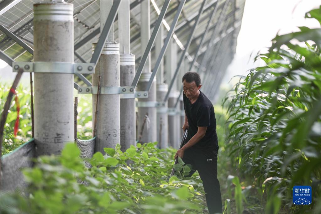 宝盈娱乐平台登录网址